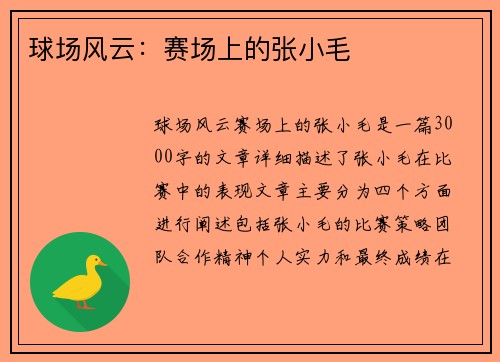 球场风云：赛场上的张小毛